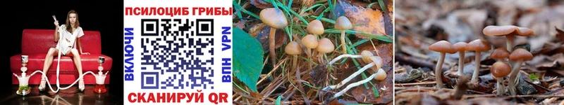 закладки  Усинск  Галлюциногенные грибы Magic Shrooms 